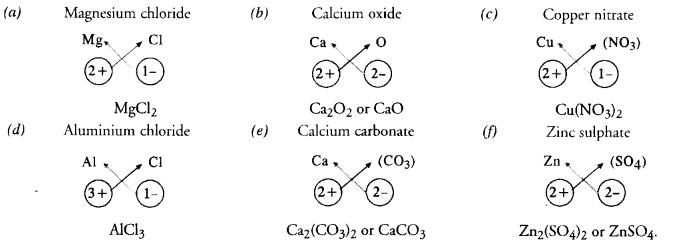 ncert-solutions-for-class-9-science-chapter-3-atoms-and-molecules-11